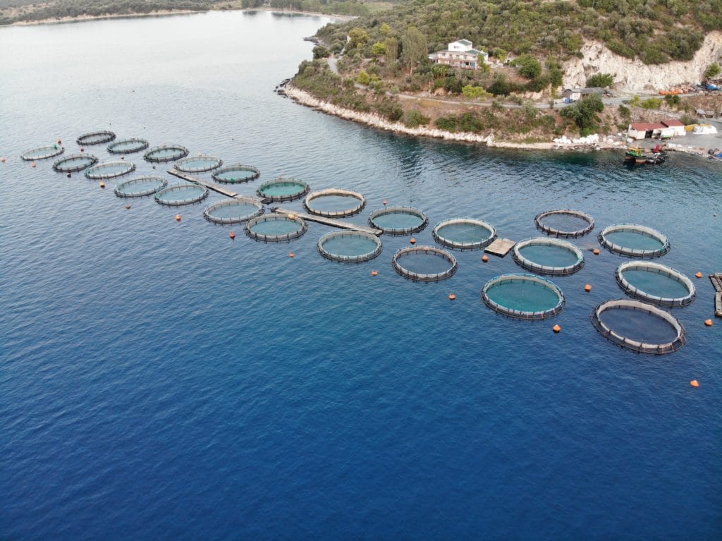 Fish Farming